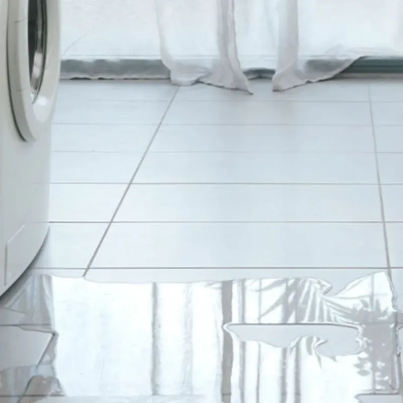 Appliance Leak Cleanup in Great Falls, SC