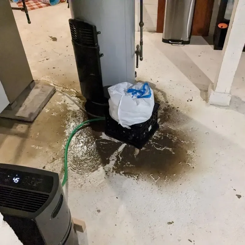 Sewage Backup Cleanup Service in Great Falls, SC